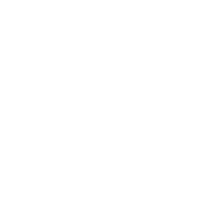 Logo silmetarie białe