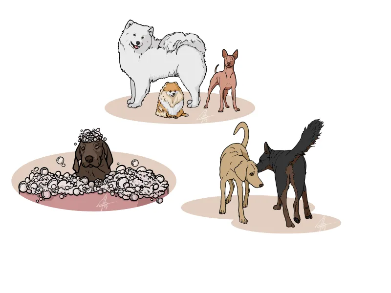 Ilustracje do komiksów